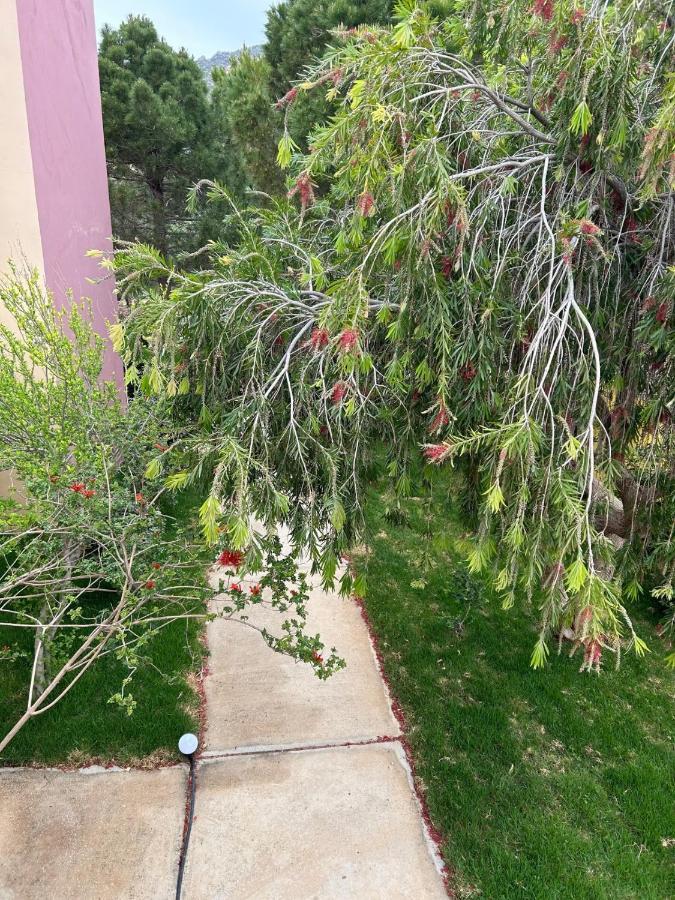 Mediterranean Sea Top Floor Палеохора Екстер'єр фото
